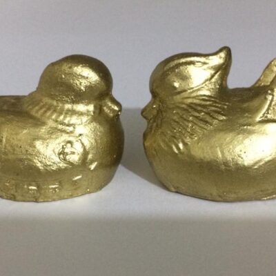 Los patos mandarines